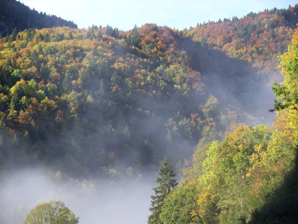 Automne Dans Le Jura