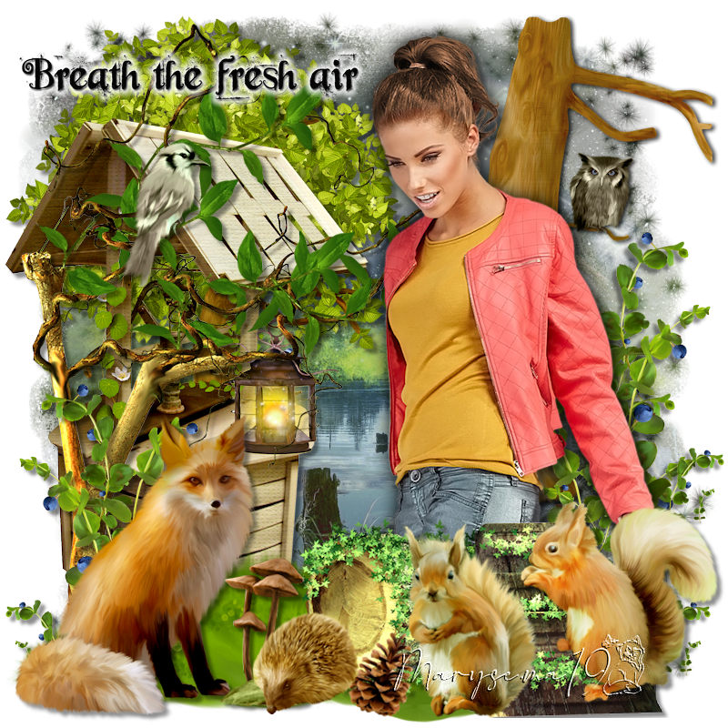 A Walk In The Woods a-walk-in-the-woods